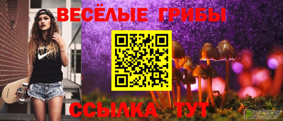 Псилоцибиновые грибы GOLDEN TEACHER Североуральск