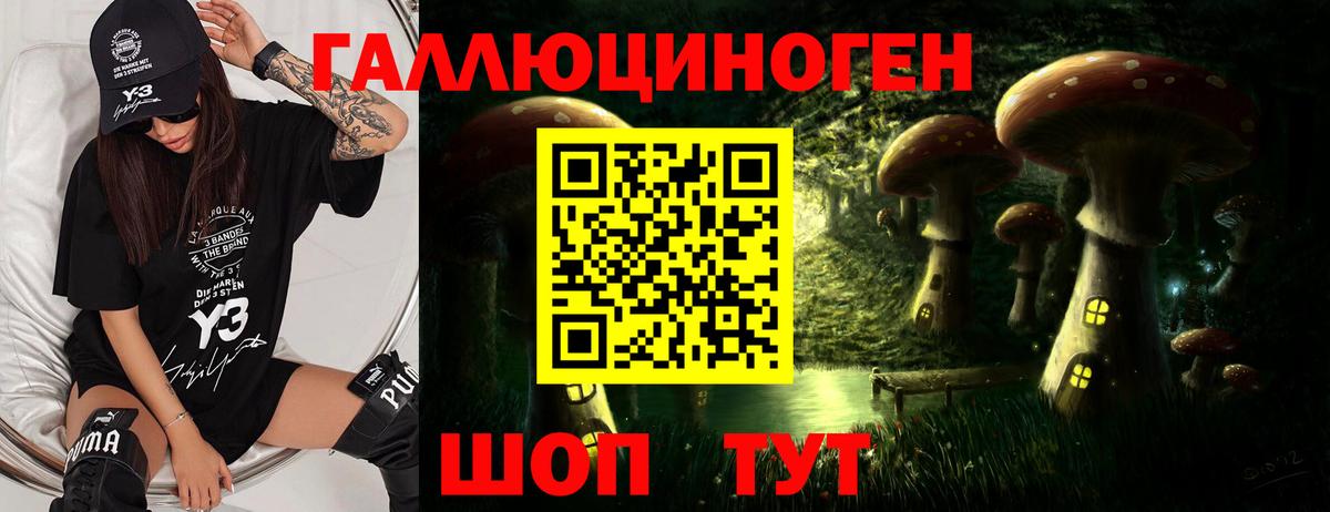 Североуральск  Галлюциногенные грибы ЛСД  Псилоцибиновые грибы Psilocybe  Вход с VPN 
